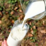 毎日飲むなら牛乳と豆乳どっちがいい？成分と効果を徹底検証